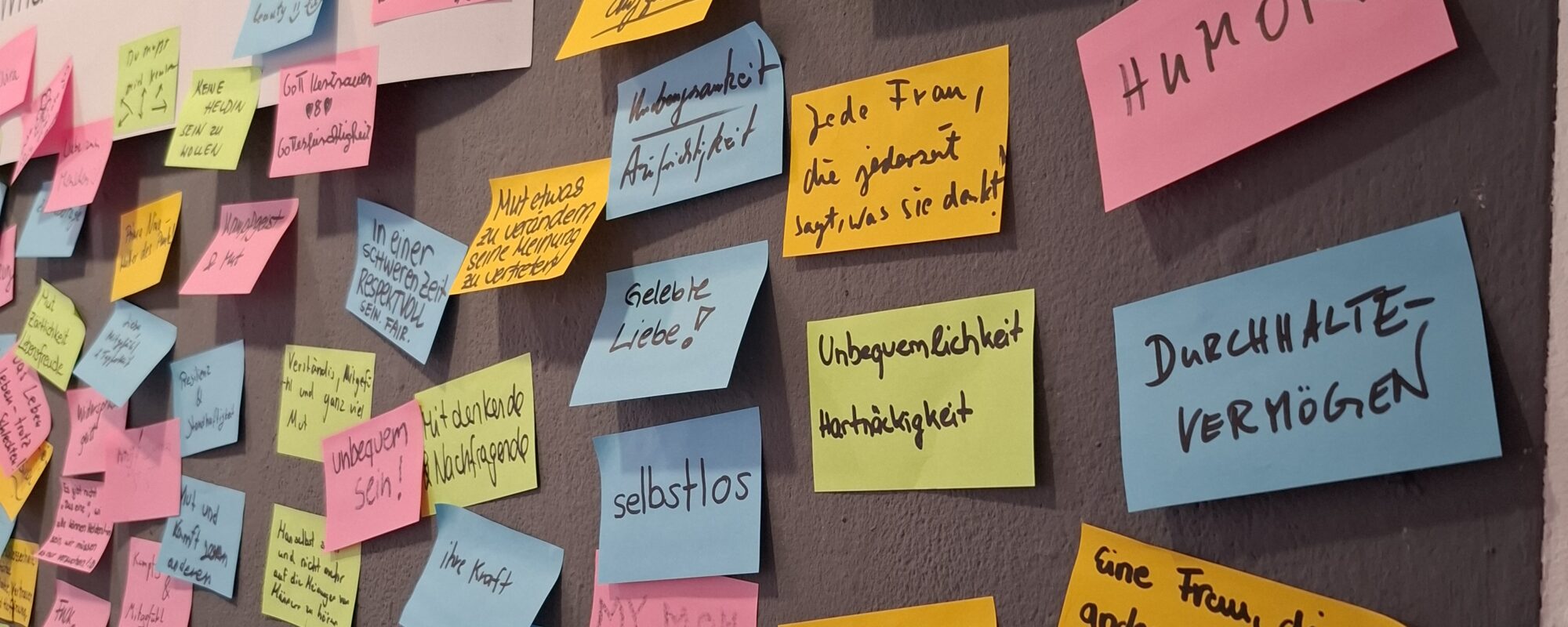 Verwaltungsangestellte Sheroes